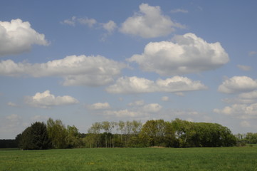 Wiese und Wolken