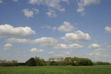 Fototapeta na wymiar Wiese und Wolken