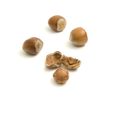 Hazelnuts on white