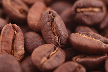 Coffee beans macro