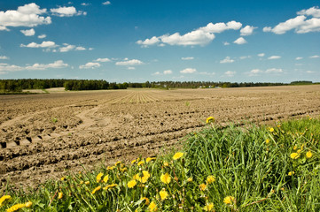 Norddeutsche Tiefebene, Ackerland, Frühling