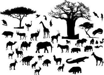 African animals - Powered by Adobe
