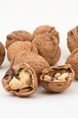 Walnut