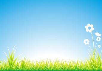 Obraz premium Green grass butterfly sky