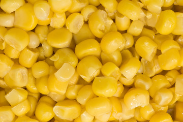 Closeup of Golden sweetcorn grains