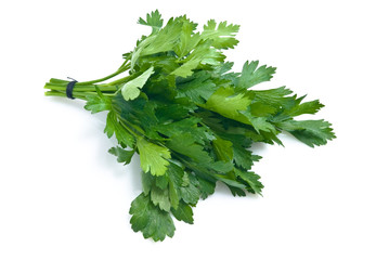 Bouquet of parsley isolated on white