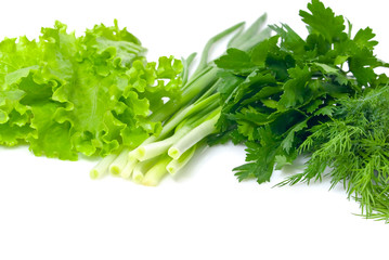 Fresh greens on white background