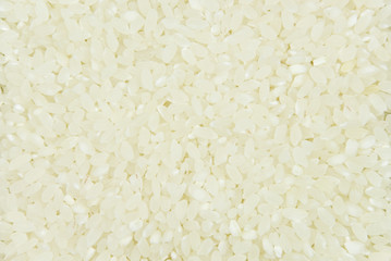 Rice groats