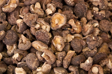 Mushrooms on chinese market