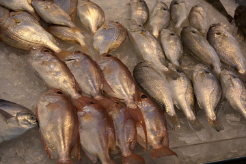 Fishes at chinese market