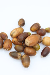 Fruits de la forêt