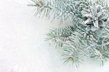 Christmas  tree,strobile, branch, tinsel