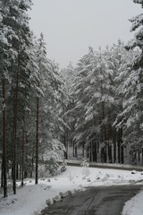 Northen Roads in November