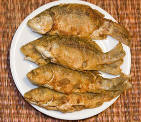 Fried fish in plate