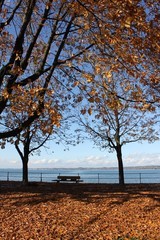 Bodensee Herbst 3