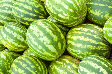 water-melon