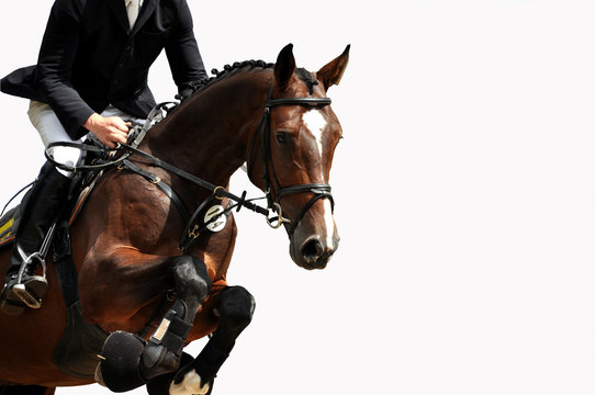 Reitsport, Pferdesport, Reiten, Springreiten, H&uuml;rdenspringen