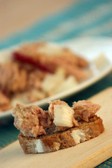 tuna salad on bread with corn and onion