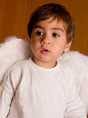 angelo