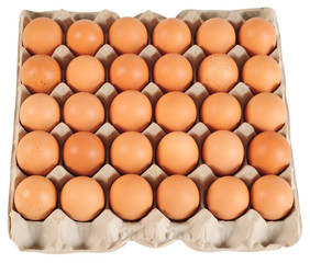 Eggs in a carton