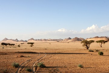 Fototapeta premium Desert scenes1