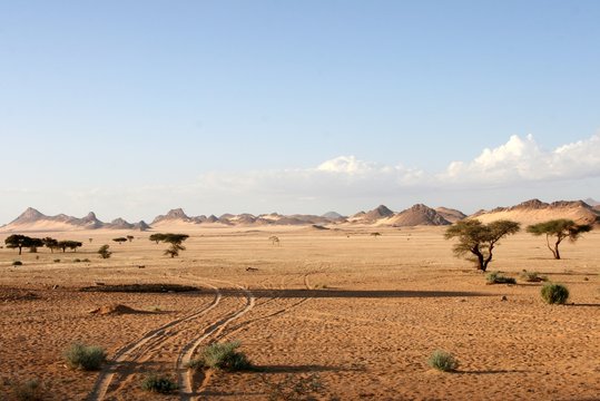 Desert scenes1