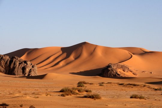 Desert scenes14