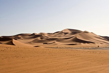 Fototapeta na wymiar Desert scenes27