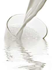 Milch