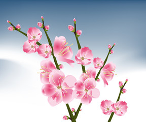 Fototapeta premium Flowers Illustration 14