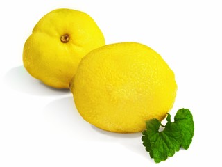 Lemons on white