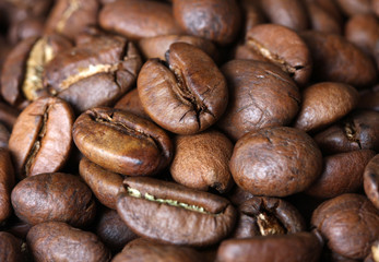 Coffee beans closeup