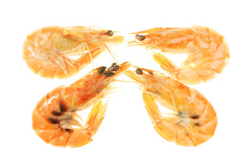 Four crevettes