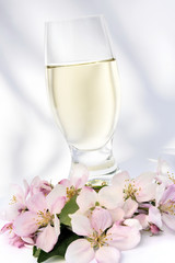 Cider and apple blossoms