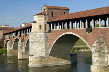 Fototapeta na wymiar zobacz of Pavia