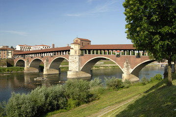 Obraz premium view of Pavia