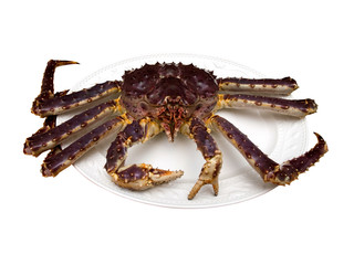 crab