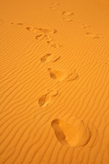 footsteps on sand dunes