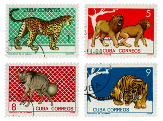 Cats on stamps