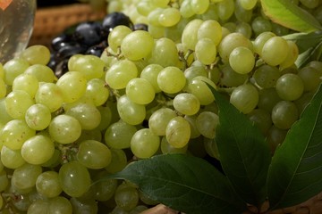 White dry wine, fresh clusters of a grapes