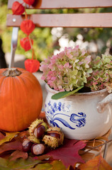 Autumn in the garden