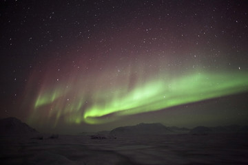 Northern lights, Spitsbergen