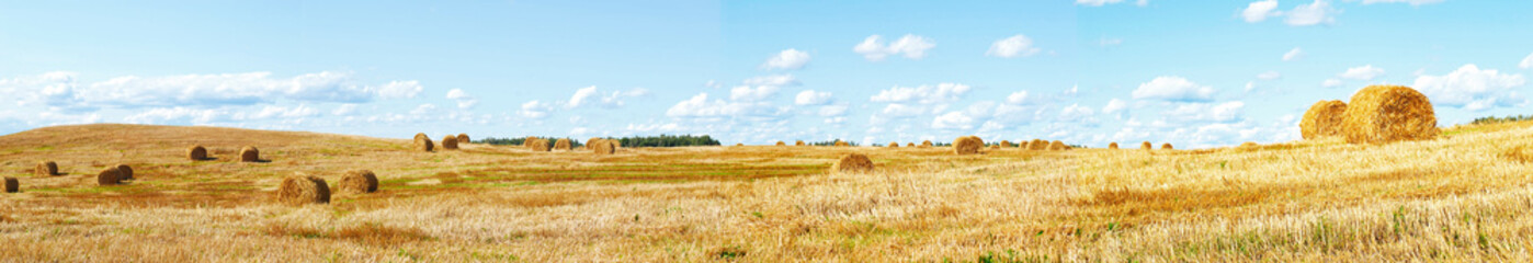Rural panorama