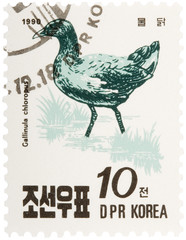 Fototapeta na wymiar Korea Bird Postage Stamp