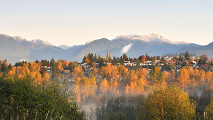 fall color at Deer Lake Park