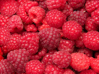 Raspberry  berries