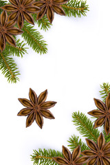 Tannenzweig mit Sternanis