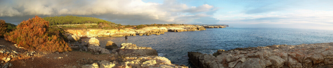 panorama