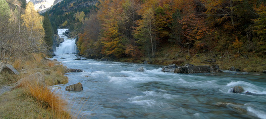 Rio y bosque en Ordesa