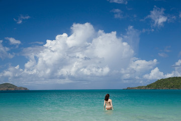 Fototapeta na wymiar Sunny day at Caribbean beach.